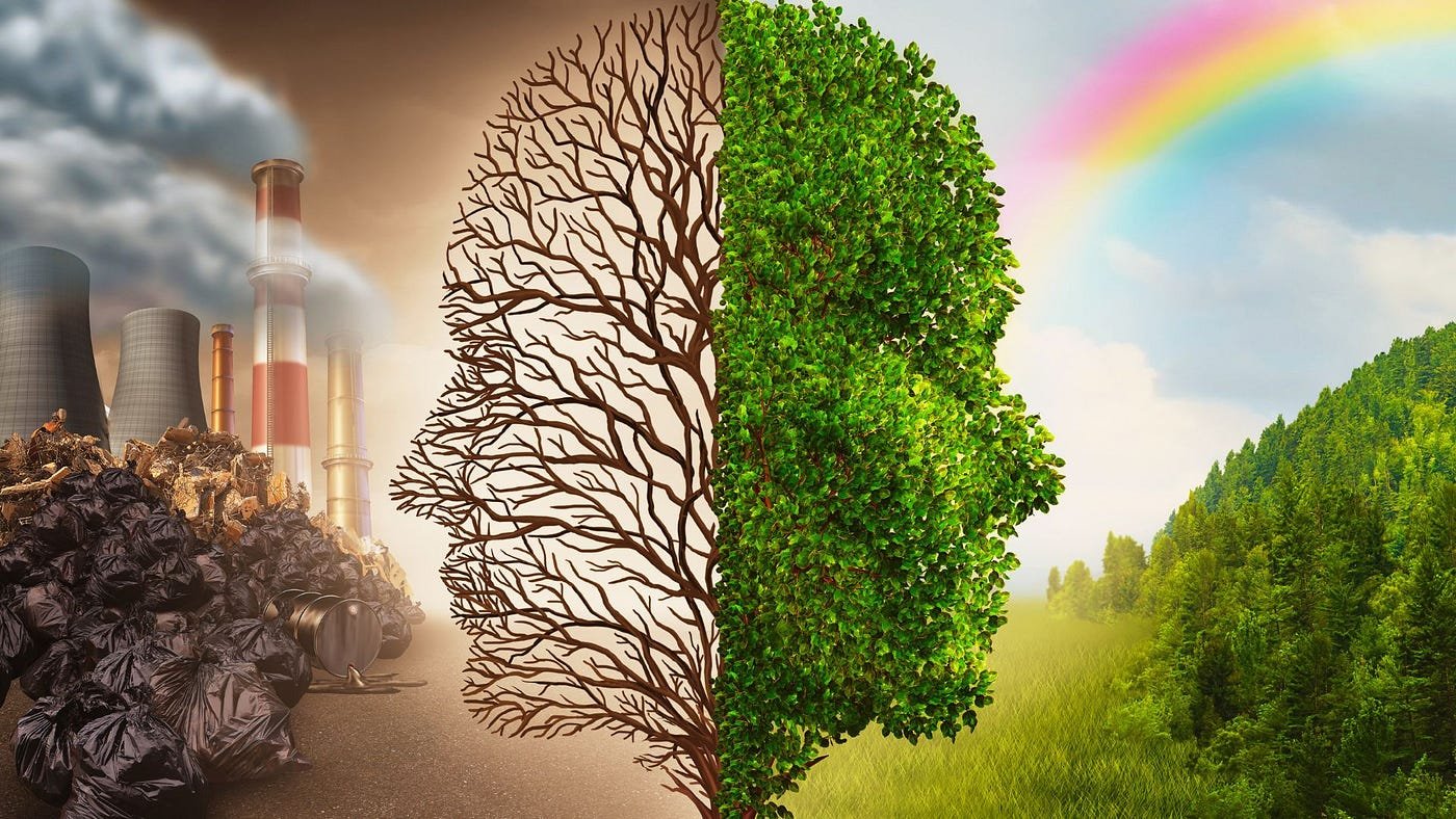 Why Climate Change is Silencing Nature's Voices